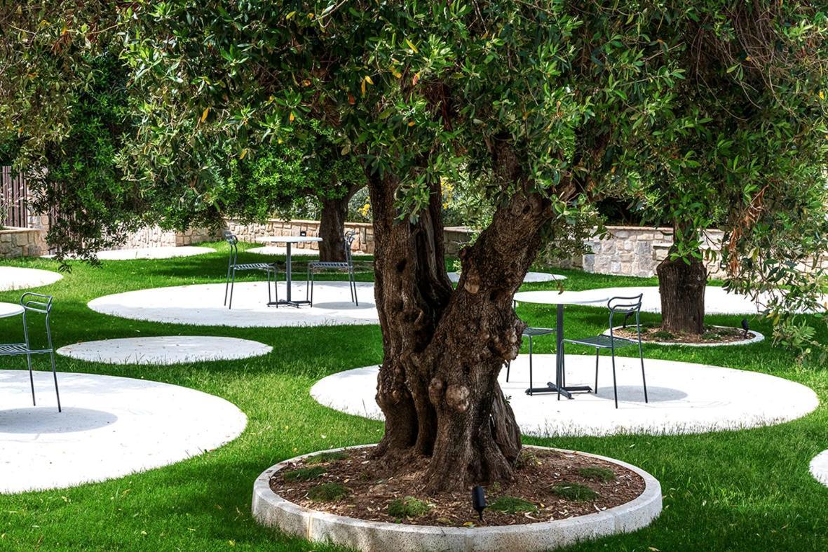 Oliveto A Mare - Suite & Apartment Ascea Buitenkant foto