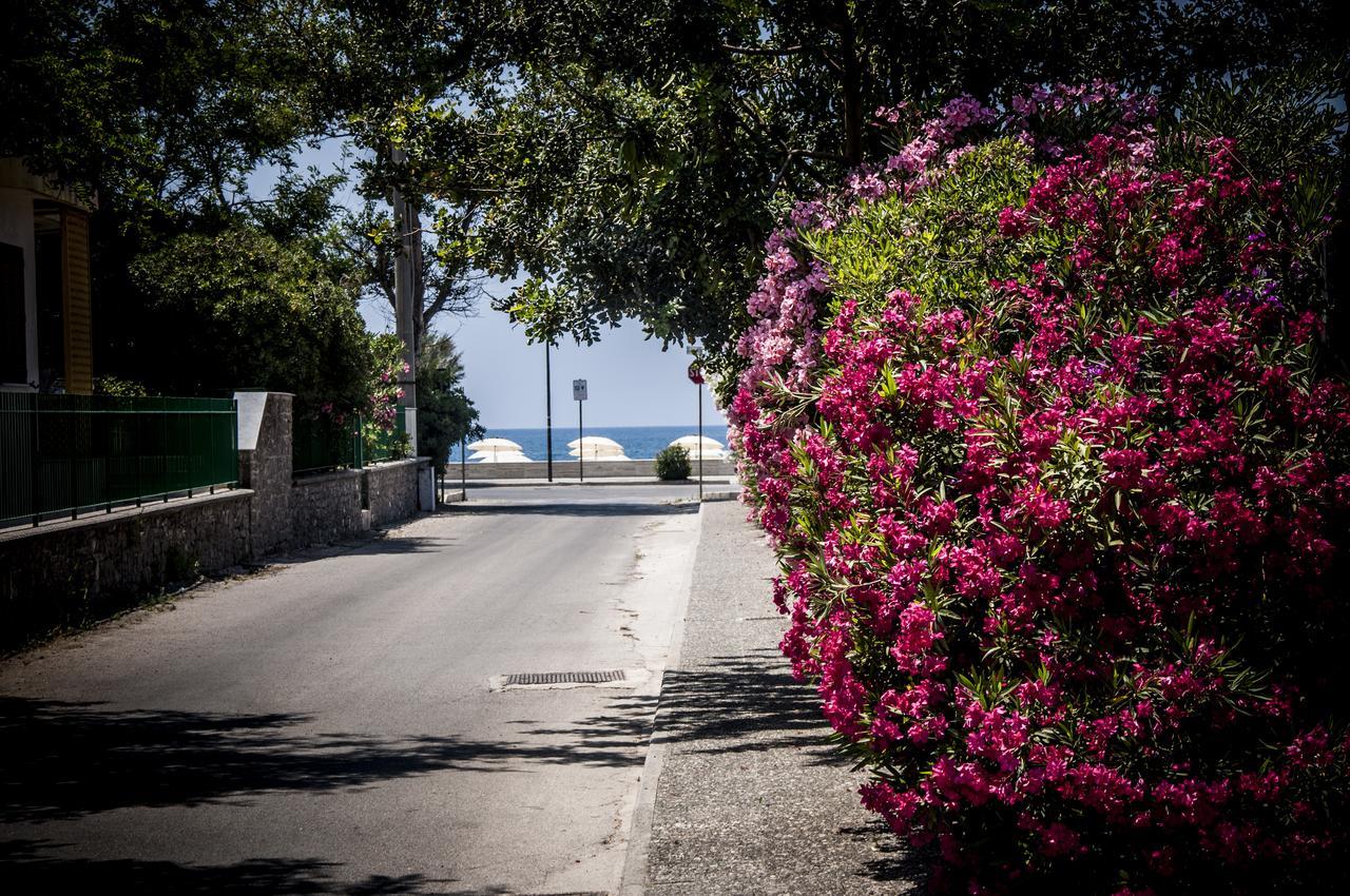 Oliveto A Mare - Suite & Apartment Ascea Buitenkant foto